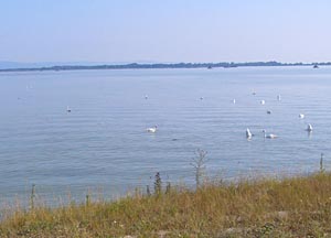 Dunaj unovo