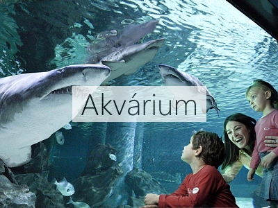 Morsk akvrium Cattolica