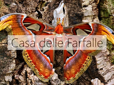 park Casa delle Farfalle