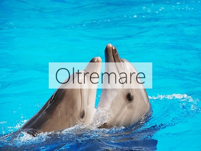 park Oltremare Riccione