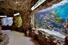 Livorno akvrium