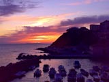 Piombino non ivot