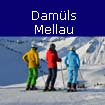 lyovanie Damls