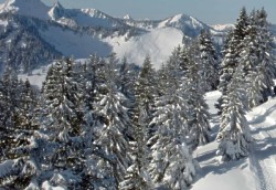 ski-mapa Spitzingsee