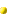 v cene