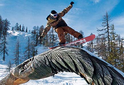 Freestyle Flachau
