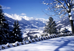 dolie Gastein