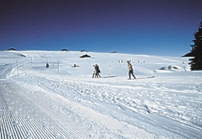 beeck lyovanie Lofer