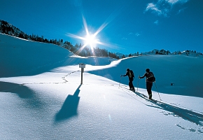 Lyovanie Schladming