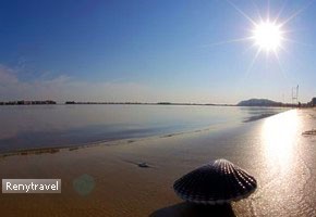 Cesenatico ple