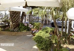 BOUGANVILLE v tieni zelene