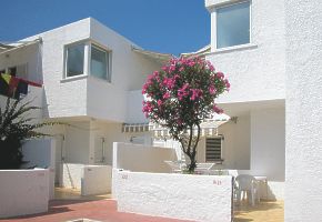 apartmny