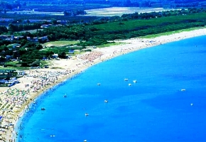 ple Nicotera