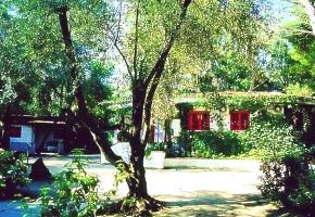 villaggio SAYONARA CLUB bujn vegetcia zaruuje tie
