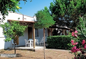  apartmny 5 STELLE 