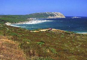 Sardnia priezran more