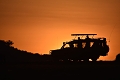 Enkorok Mara Camp, Masai Mara, Kea