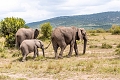 Enkorok Mara Camp, Masai Mara, Kea