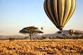 Enkorok Mara Camp, Masai Mara, Kea