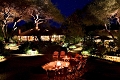 Kibo Safari Camp, Amboseli National Park, Kea