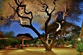 Kibo Safari Camp, Amboseli National Park, Kea