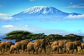 Kibo Safari Camp, Amboseli National Park, Kea