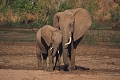 Kibo Safari Camp, Amboseli National Park, Kea
