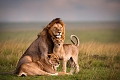 Kibo Safari Camp, Amboseli National Park, Kea