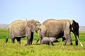 Kibo Safari Camp, Amboseli National Park, Kea