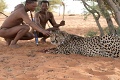Bagatelle Kalahari Game Ranch, Kalahari, Nambia
