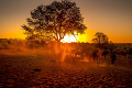 Bagatelle Kalahari Game Ranch, Kalahari, Nambia