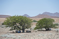 Kemp Desert Rhino , Damaraland, Nambia