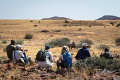 Kemp Desert Rhino , Damaraland, Nambia
