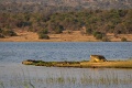 Kemp Magashi, Rwanyakazinga jazero