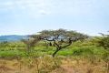 Kemp Magashi, Rwanyakazinga jazero