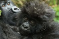 Rezort Virunga Lodge , Colline Gakoro