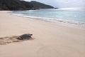 Maia Luxury Resort & Spa, Anse Luis - ostrov Mah 
