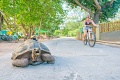 Maia Luxury Resort & Spa, Anse Luis - ostrov Mah 