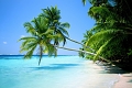 Apartmny Royale Suites, Anse Royale, Seychely