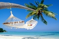 Apartmny Royale Suites, Anse Royale, Seychely