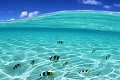 Apartmny Royale Suites, Anse Royale, Seychely