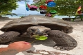 Apartmny Royale Suites, Anse Royale, Seychely