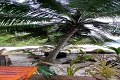 Apartmny Royale Suites, Anse Royale, Seychely