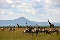 Acacia Lodge, Karatu