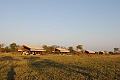 Serengeti Tanzania Bush Camp, Serengeti, Tanznia