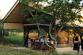 Serengeti Tanzania Bush Camp, Serengeti, Tanznia