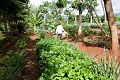 Ngorongoro Farmhouse, Ngorongoro, Tanznia