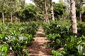 Ngorongoro Farmhouse, Ngorongoro, Tanznia