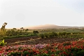 Ngorongoro Farmhouse, Ngorongoro, Tanznia