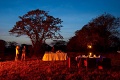 Kirawira Serena Camp, Serengeti zpad, Tanznia